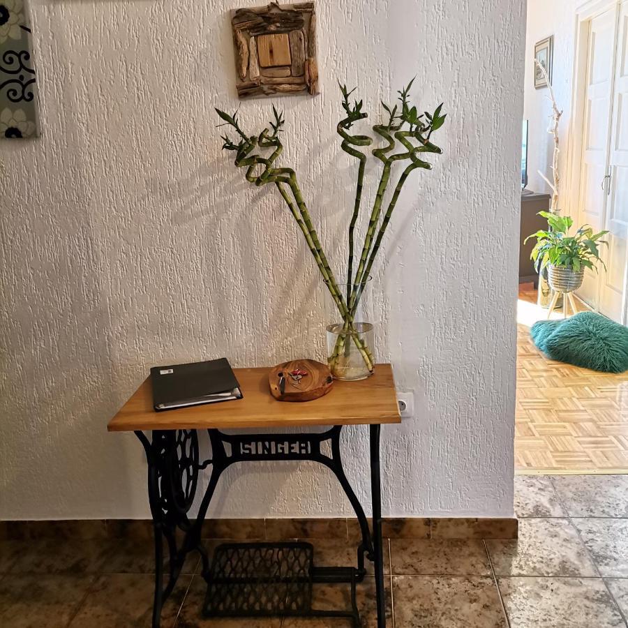 רייקה Apartman Flavia מראה חיצוני תמונה